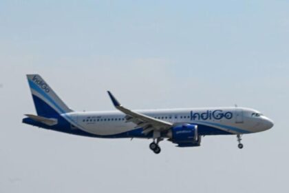 William Walsh IndiGo CEO appointment aviation news